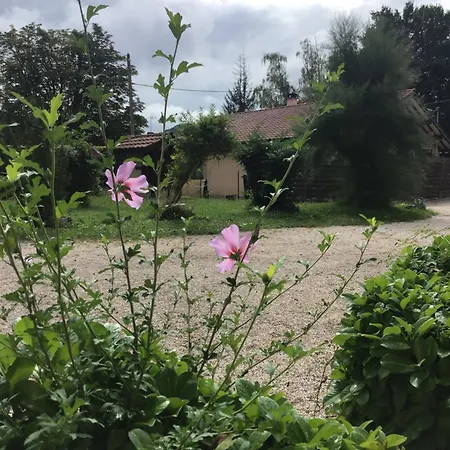 Au San Francisco *